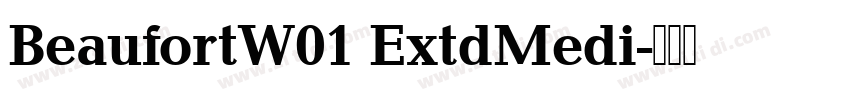 BeaufortW01 ExtdMedi字体转换